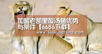 6686平台
