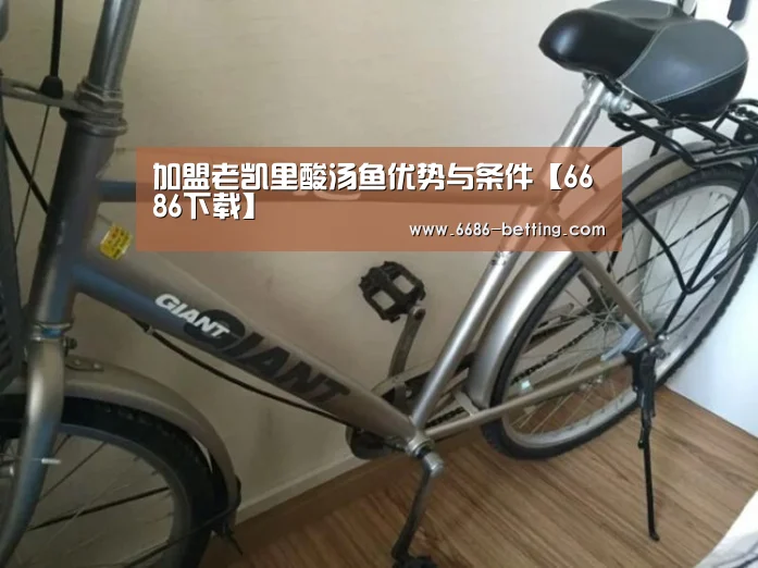 6686平台