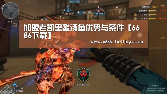 6686入口