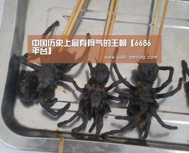 中国历史上最有骨气的王朝【6686平台】(图1) 6686平台