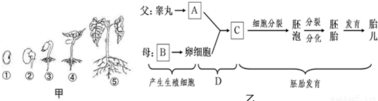 蔡健雅回应抄袭质疑,新歌抄袭是怎么回事?“6686赛事”(图1) 6686下载