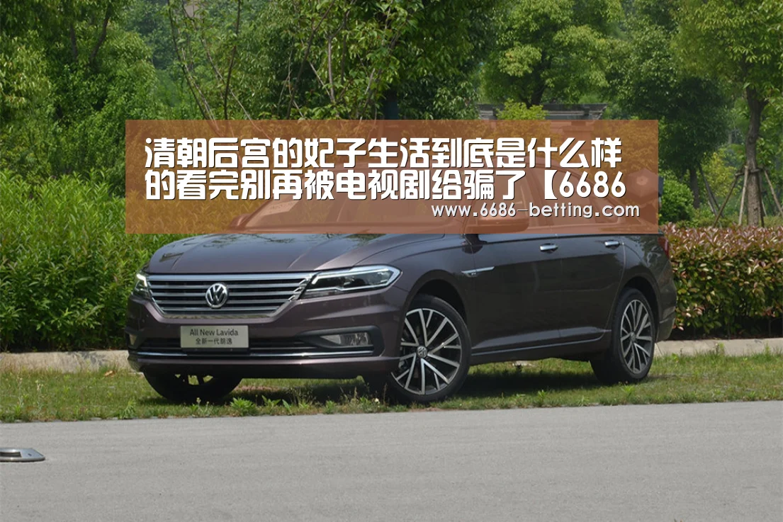 6686入口
