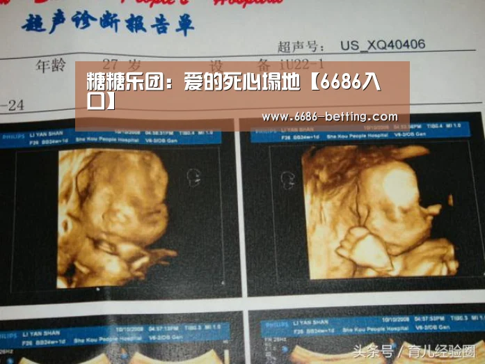 6686下载