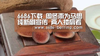 6686赛事