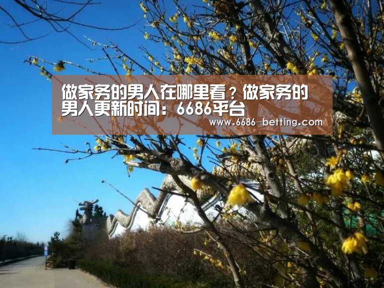 做家务的男人在哪里看?做家务的男人更新时间:6686平台(图1) 6686下载