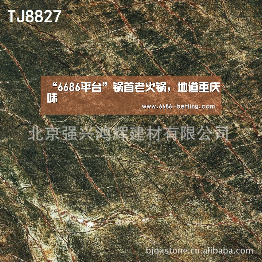 6686下载