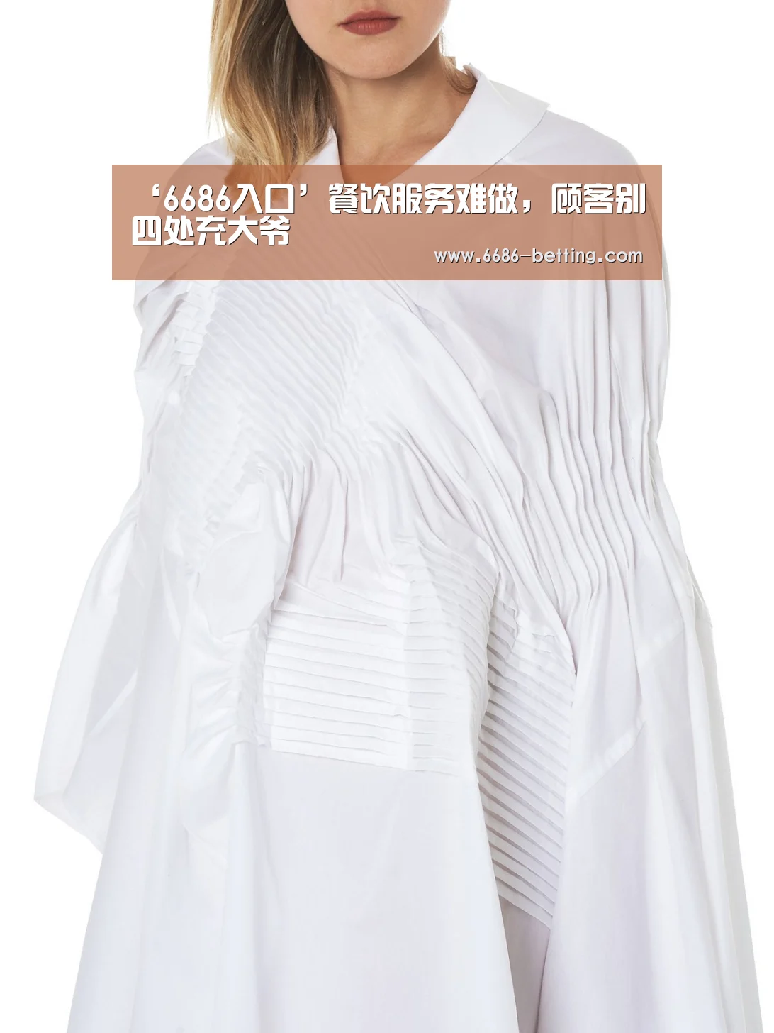 ‘6686入口’餐饮服务难做,顾客别四处充大爷(图1) 6686赛事