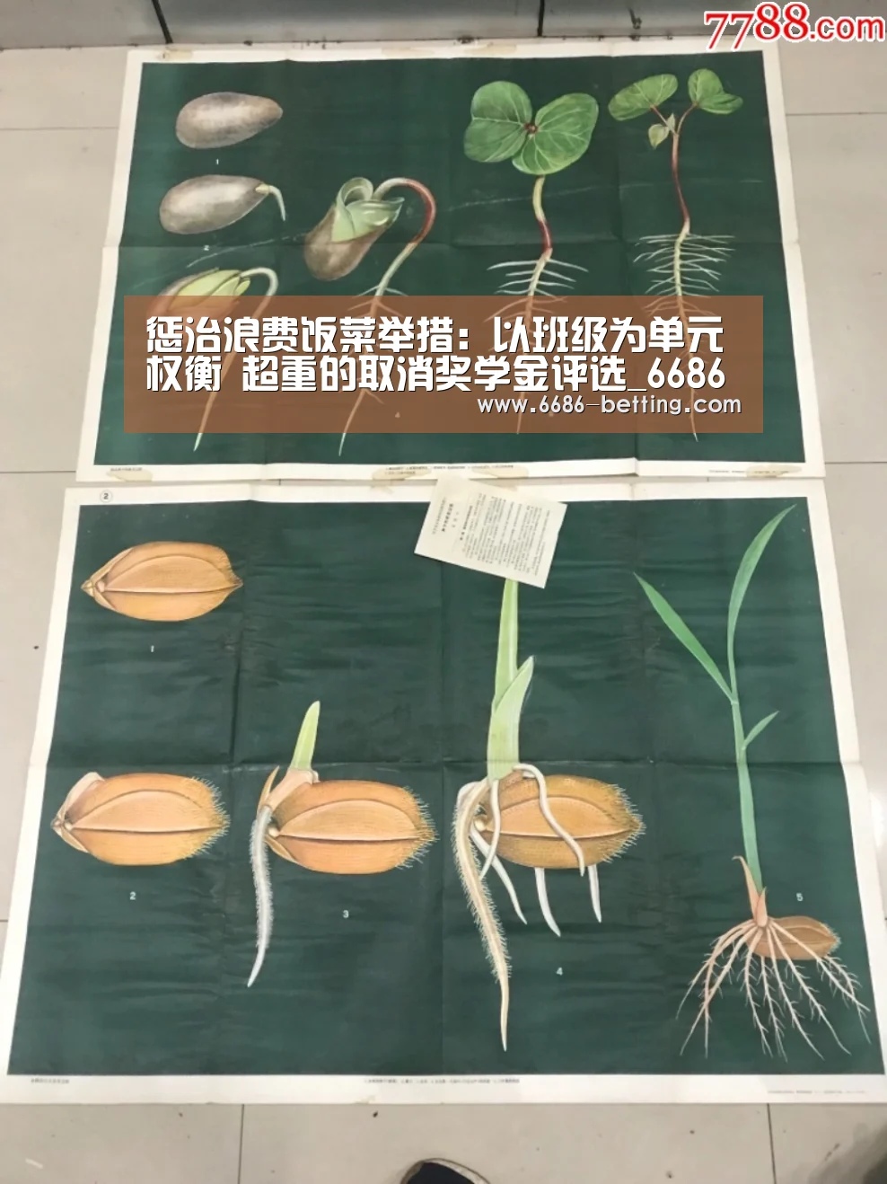 惩治浪费饭菜举措:以班级为单元权衡 超重的取消奖学金评选_6686平台(图1) 6686入口