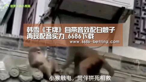 韩雪《王牌》自带音效配白娘子 再现配音实力_6686下载(图1) 6686入口